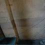 dsc01317.jpg